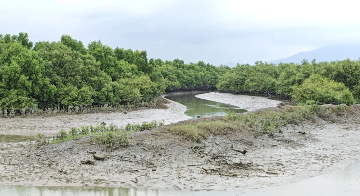 আবারও মিয়ানমারের ছোড়া গুলিতে টেকনাফে ২ কিশোর আহত