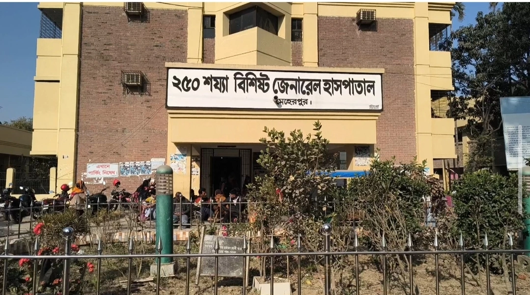 মেহেরপুরে ডাকাতের হামলায় আহত ৫