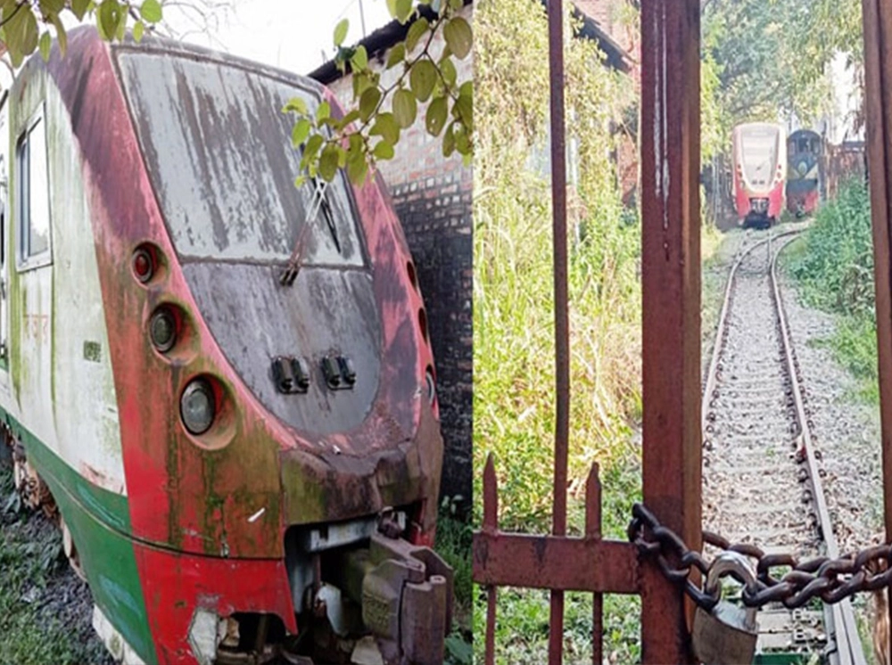 ৬৫৪ কোটি টাকার ডেমু এখন লাইফ সাপোর্টে