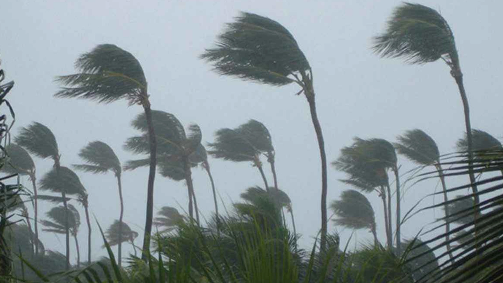 সন্ধ্যার মধ্যে ৬ জেলায় ঝড়ের শঙ্কা