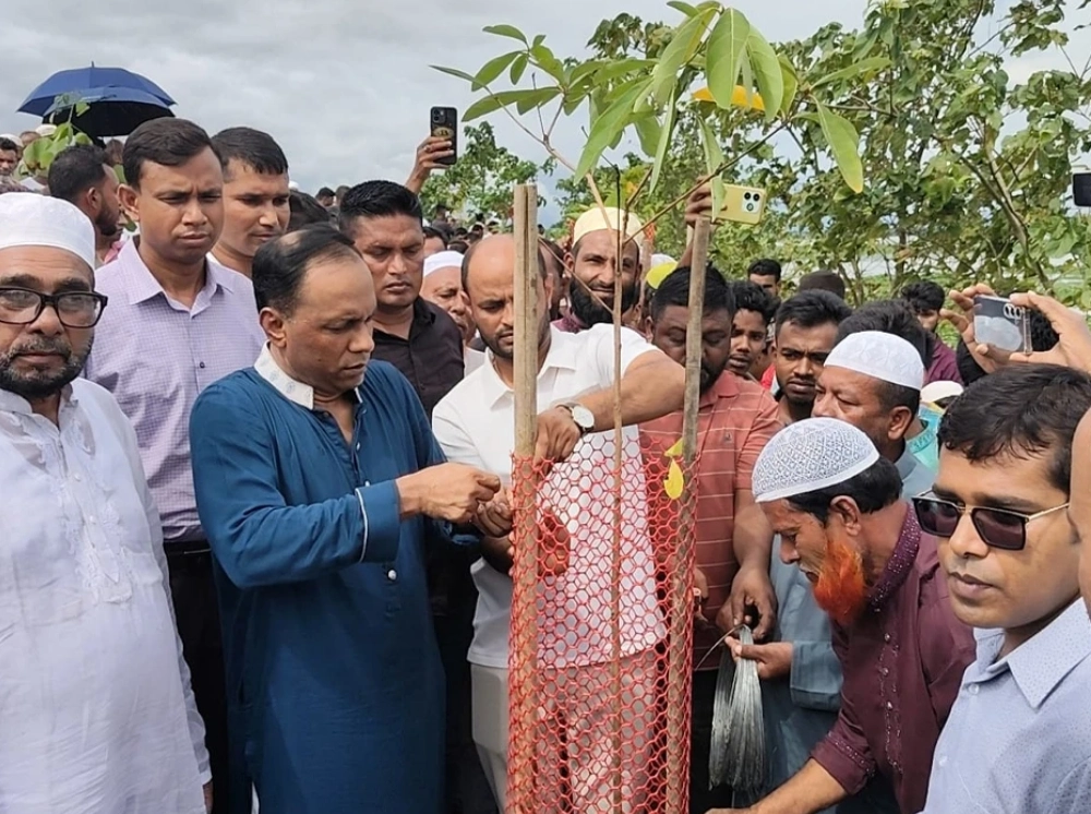 ডেপুটি স্পিকারের লাগানো গাছ উপড়ে ফেলার ঘটনায় গ্রেফতার ৩