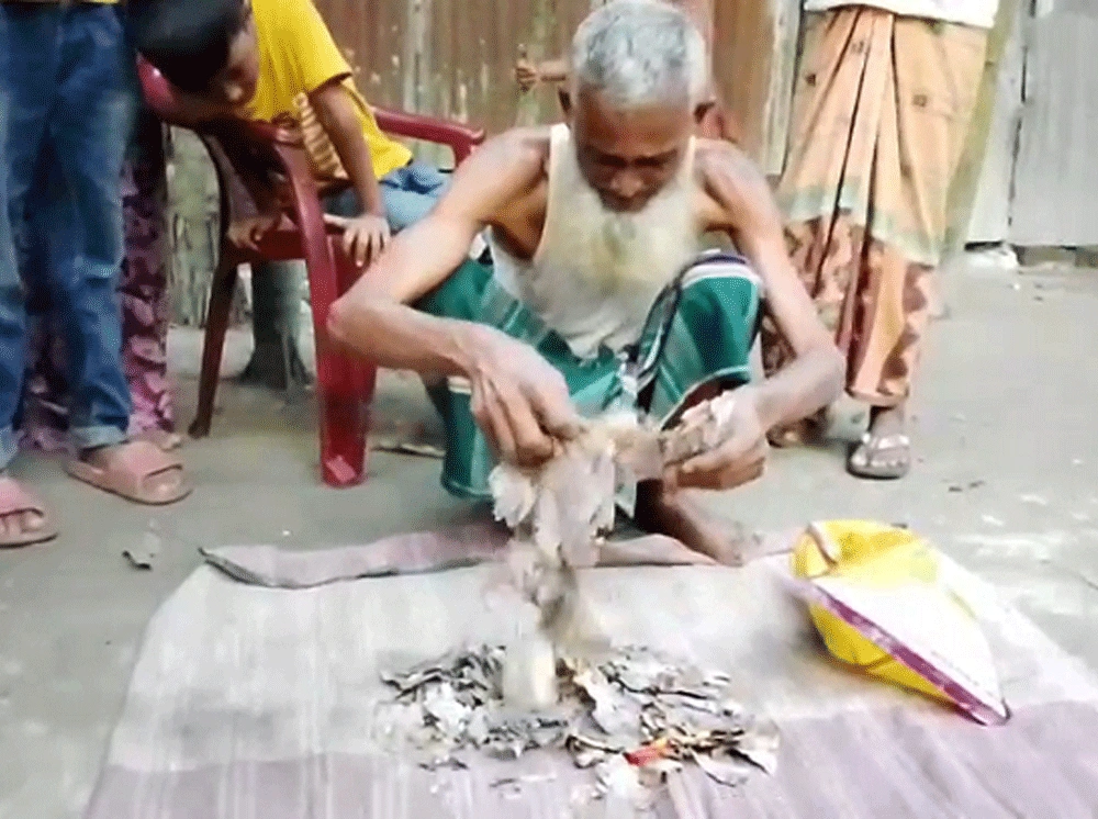 কষ্টে জমানো ২ লাখ টাকা ইঁদুর-উইপোকার পেটে, দিশেহারা কৃষক