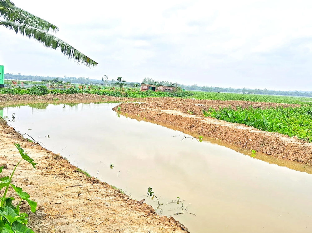 সময়মতো খাল খনন না হওয়ায় ফেরত গেল প্রায় ৩ কোটি টাকা