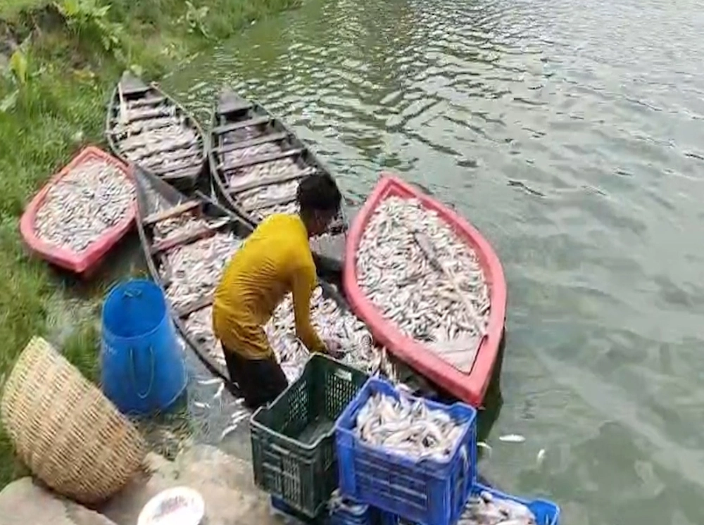 সরকারকে বেকায়দায় ফেলার চেষ্টা কি না খতিয়ে দেখা হবে: জেলা প্রশাসক
