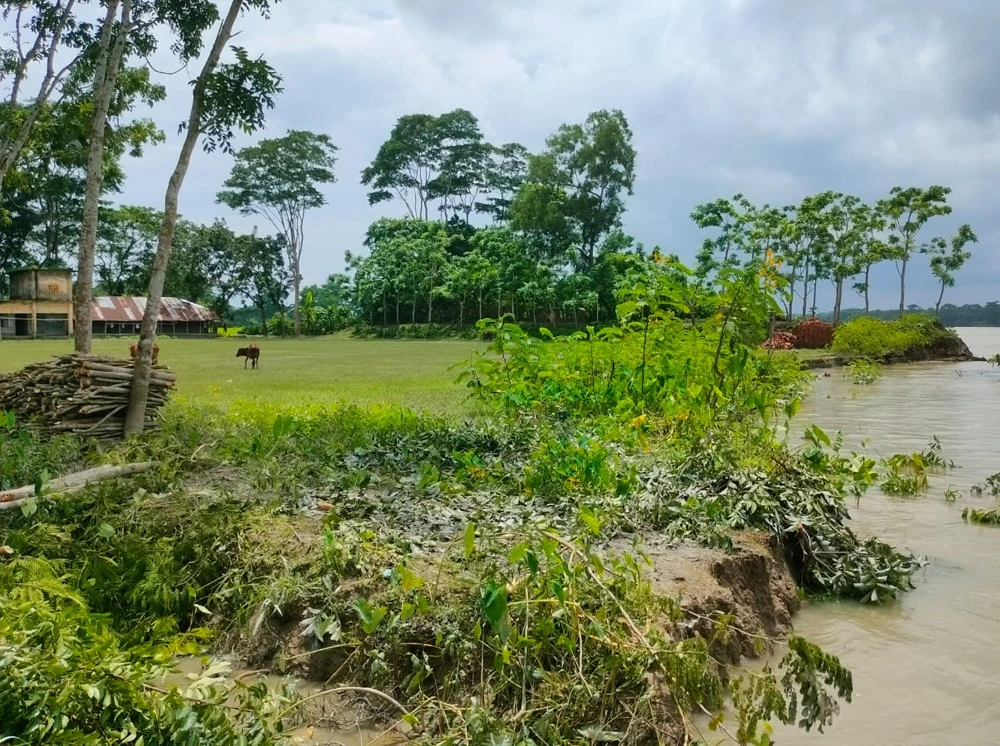 বিষখালীর ভাঙনে নদীগর্ভে বিলীনের শঙ্কায় দুই বিদ্যালয়