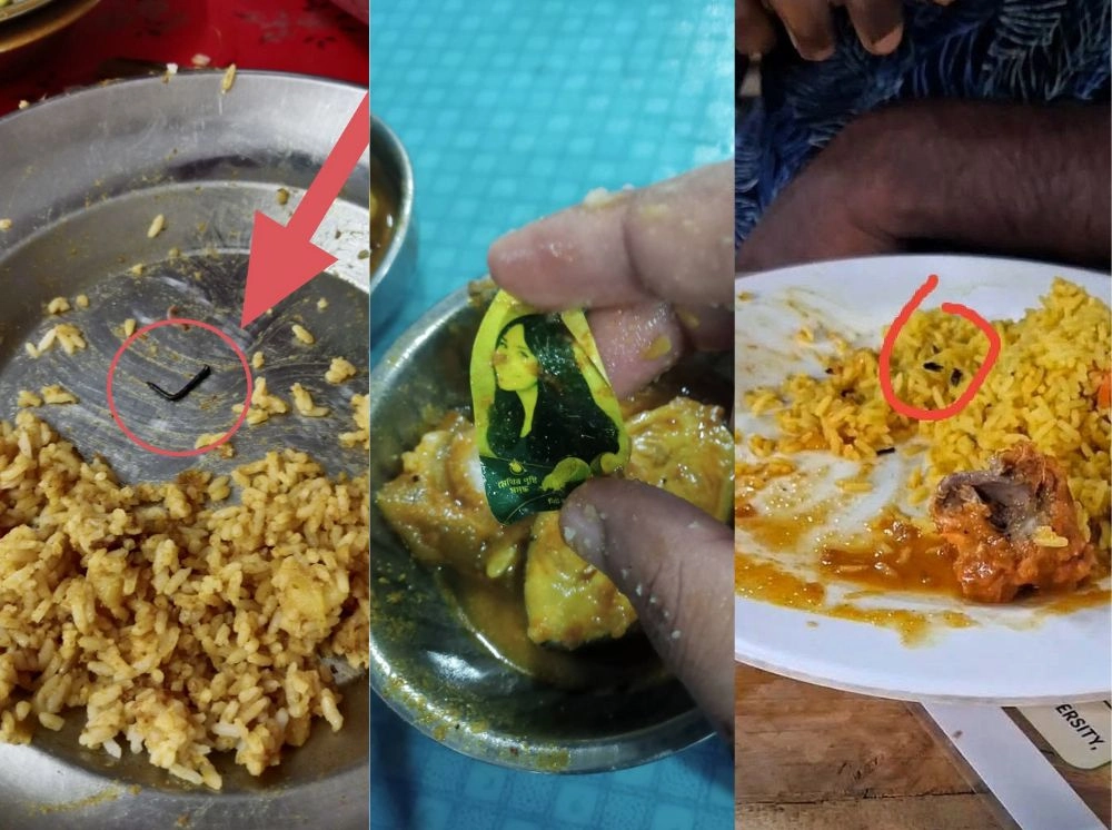 চবিতে ভাতের প্লেটে মিলছে মাছি-মাকড়সা-পেরেক, শিক্ষার্থীদের ক্ষোভ