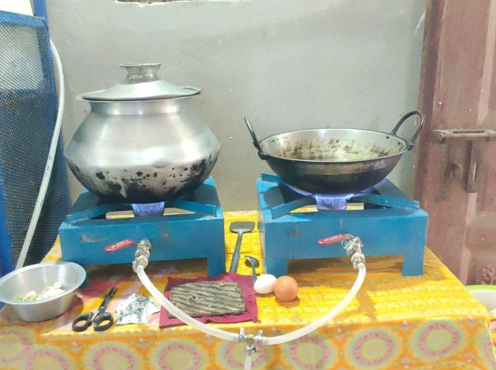 বায়োগ্যাসে খামারির সাফল্য, একসাথে জ্বলে ৪ চুলা