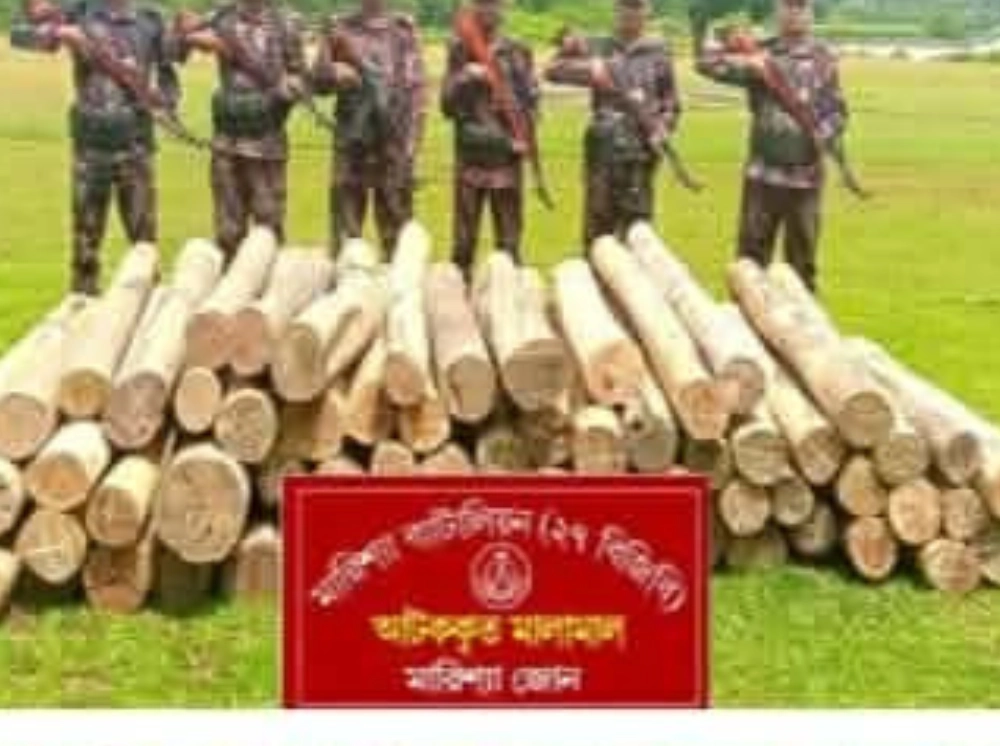 বাঘাইছড়িতে বিজিবির অভিযানে বিপুল পরিমাণ অবৈধ কাঠ জব্দ
