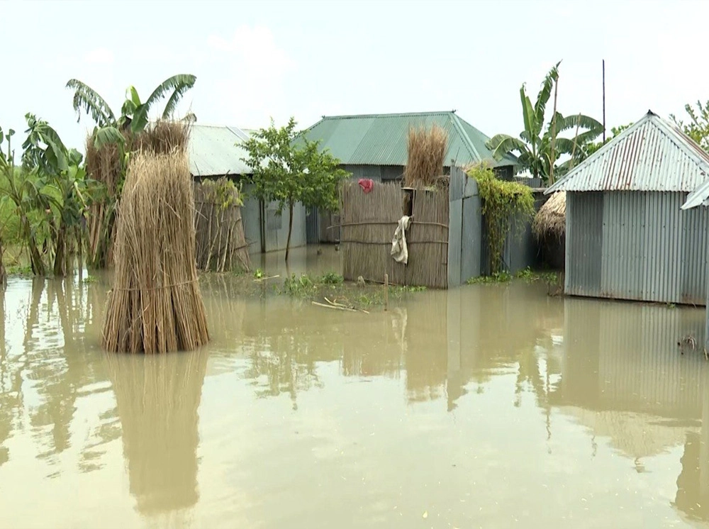 কুষ্টিয়ায় বন্যা পরিস্থিতির অবনতি, পানির নিচে ৪৭১ হেক্টর আবাদি জমি