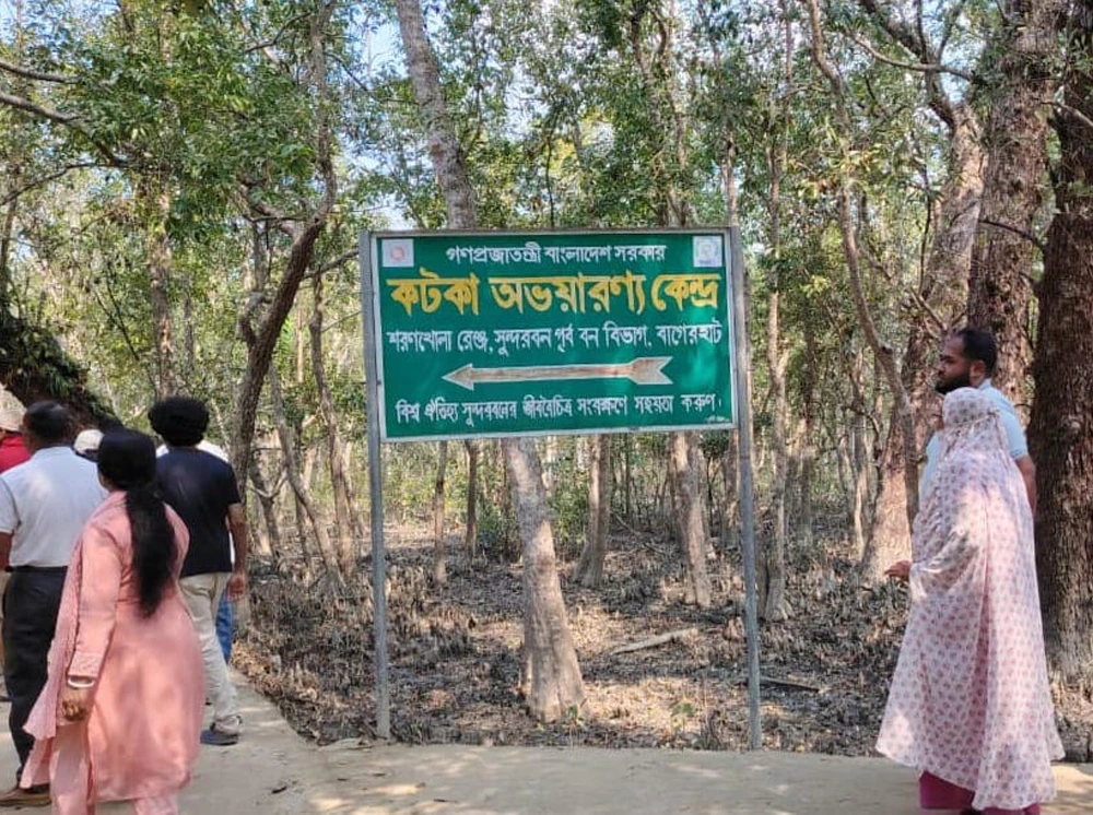 সুন্দরবনে ‘নেটওয়ার্ক ব্ল্যাকআউট’, বিপাকে পর্যটক-জেলে-বনরক্ষীরা