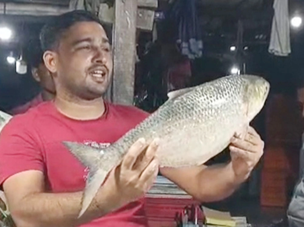 আড়াই কেজি ওজনের এক ইলিশের দাম ১০ হাজার টাকা