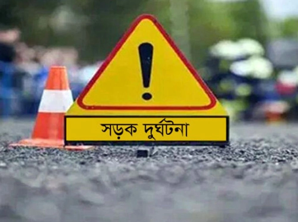 মেয়ের বাড়িতে বেড়াতে গিয়ে প্রাণ গেল মায়ের