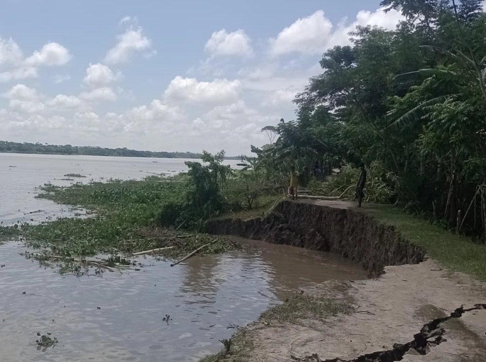 বিশখালীর ভাঙনে ঝুঁকিতে বাদুরতলা স্কুল, হুমকিতে দেড়শ একর আমন