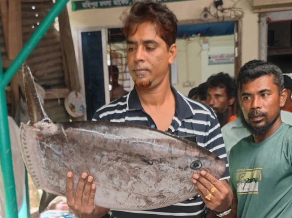 কুয়াকাটায় জালে ধরা ‘স্লেন্ডার সানফিশ’ আসলে কী ধরনের মাছ?
