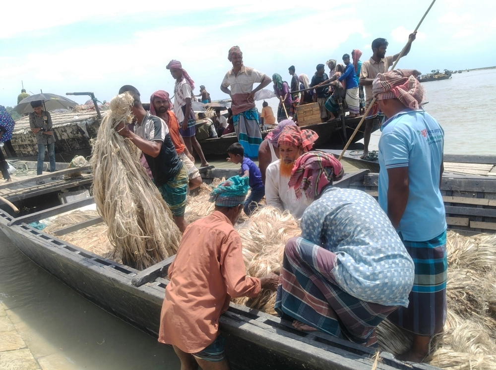 কুড়িগ্রামে রাতের আঁধারে নদীপথে পাচার হচ্ছে ‘সোনালি আঁশ’ পাট