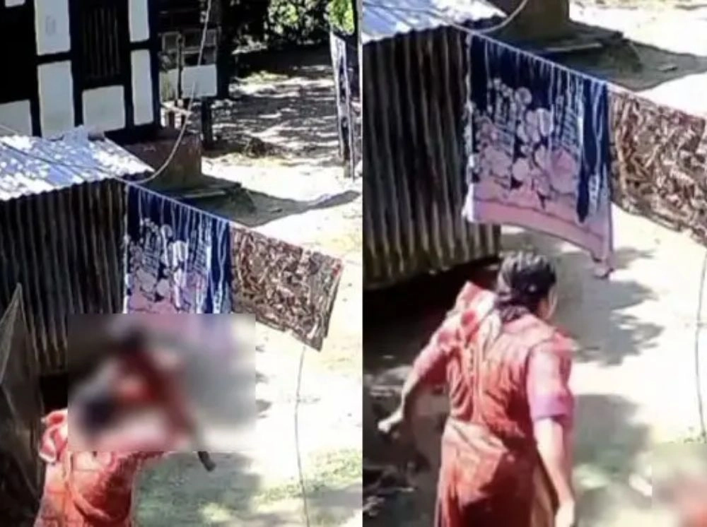 দুই বছরের নাতির ওপর দাদির নির্মমতা, সিসিটিভি ফুটেজ ভাইরাল