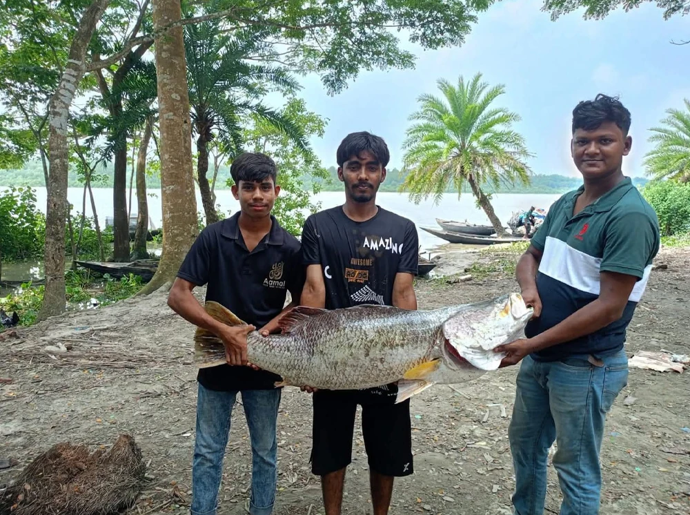 জেলের জালে ২০ কেজির কোরাল, বিক্রি ৩৬ হাজার টাকায়