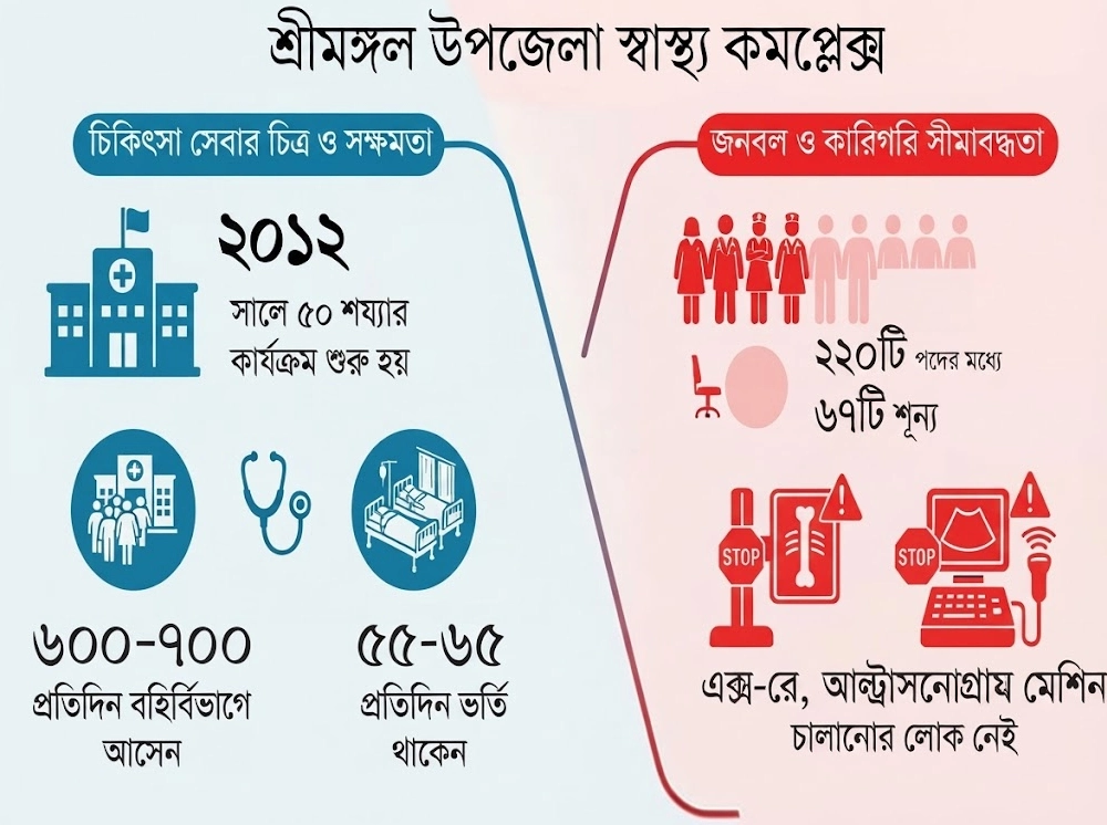 শ্রীমঙ্গল উপজেলা স্বাস্থ্য কমপ্লেক্সে চিকিৎসকের ৪১ পদের ২৫টিই শূন্য