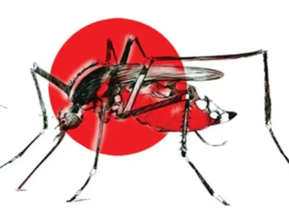 খুলনায় ডেঙ্গুতে ২ গর্ভবতী নারীর মৃত্যু