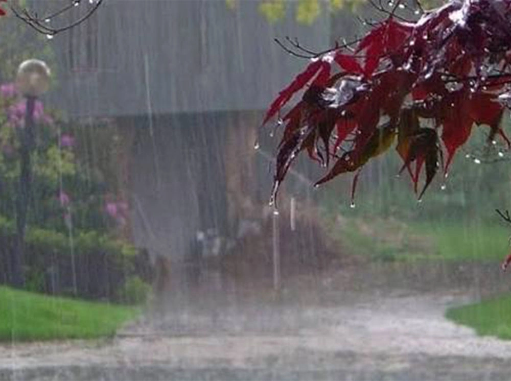 আজ যেসব অঞ্চলে বৃষ্টি হতে পারে