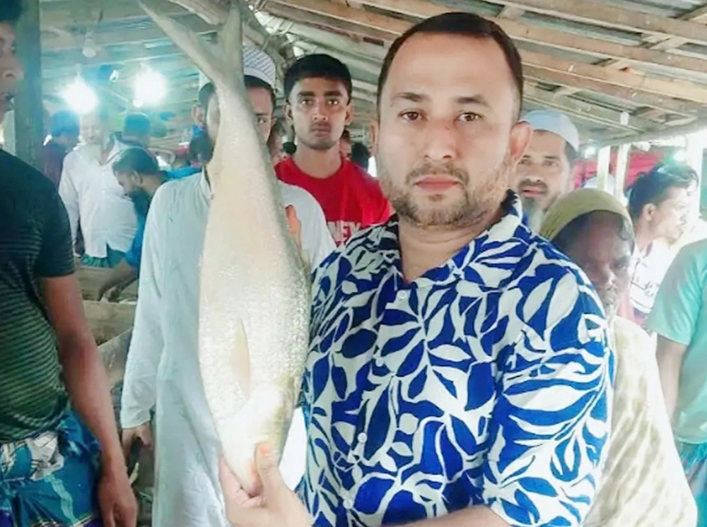 এক ইলিশেই বাজিমাত, দাম উঠল ১৩ হাজার ২৫০ টাকা
