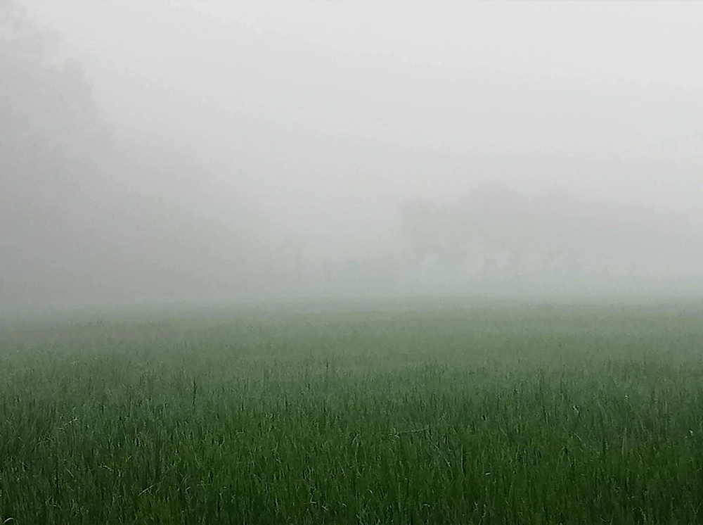 আশ্বিনের প্রথম দিনে ঠাকুরগাঁওয়ে ঘন কুয়াশার দেখা