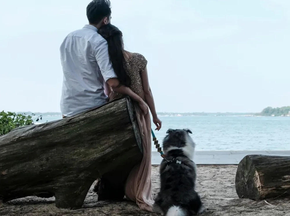 ‘জীবনসঙ্গী’ খুঁজতে সরকারি কর্মকর্তাদের জন্য নতুন সেবা চালু করল সিঙ্গাপুর
