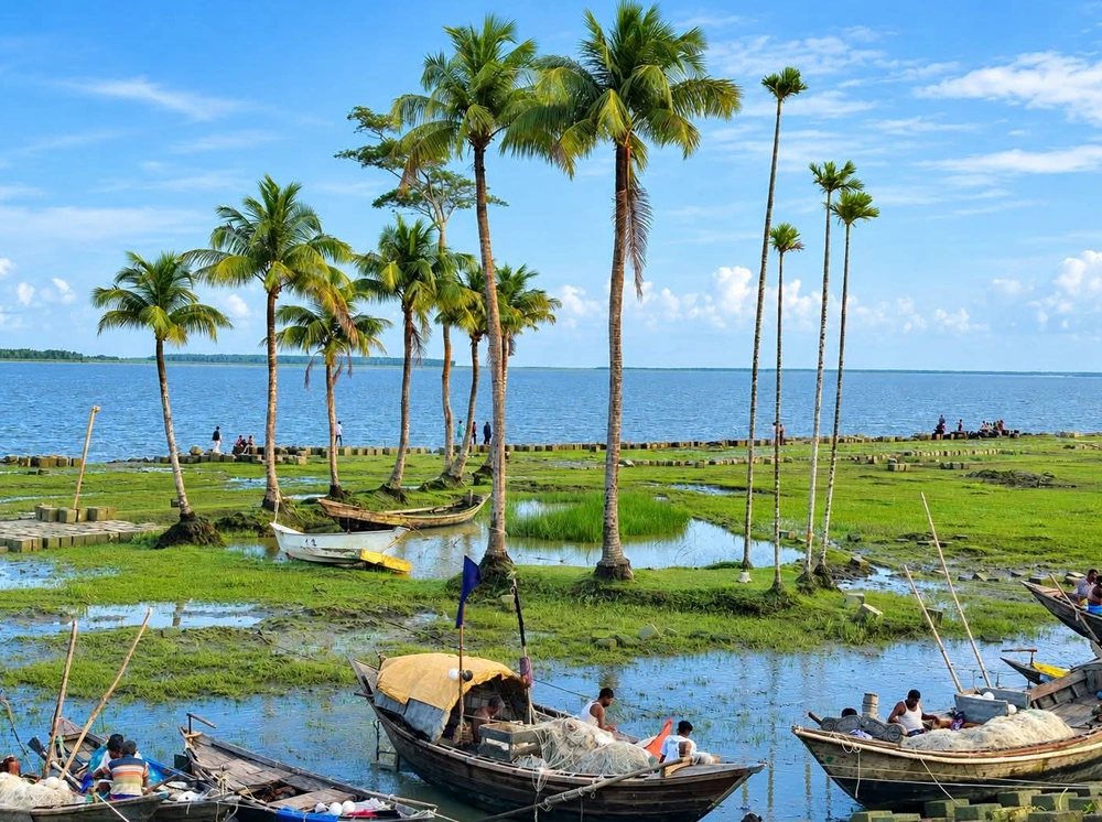 ভোলার উপকূলে প্রকৃতির জাদু, মুগ্ধতা ছড়ায় নদী-চর ও সবুজ বন