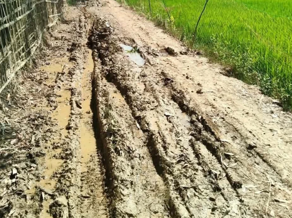 শত বছরেও উন্নয়নের ছোঁয়া লাগেনি যে সড়কে