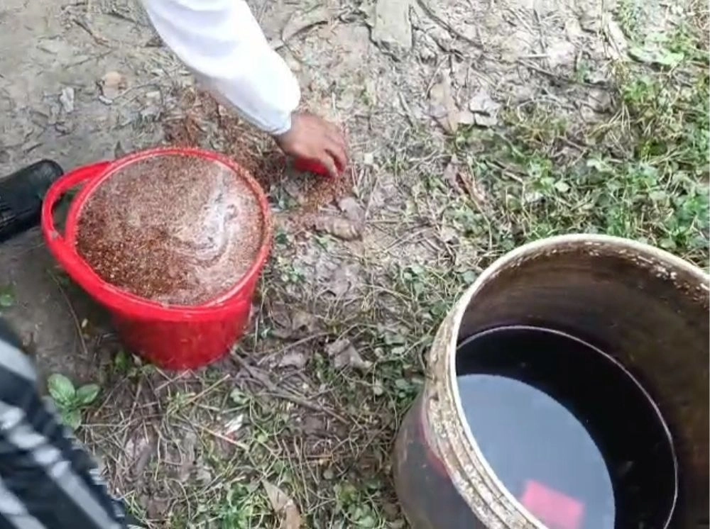 চাঁপাইনবাবগঞ্জে দুটি ককটেল বিস্ফোরণ, অবিস্ফোরিত ১১টি উদ্ধার