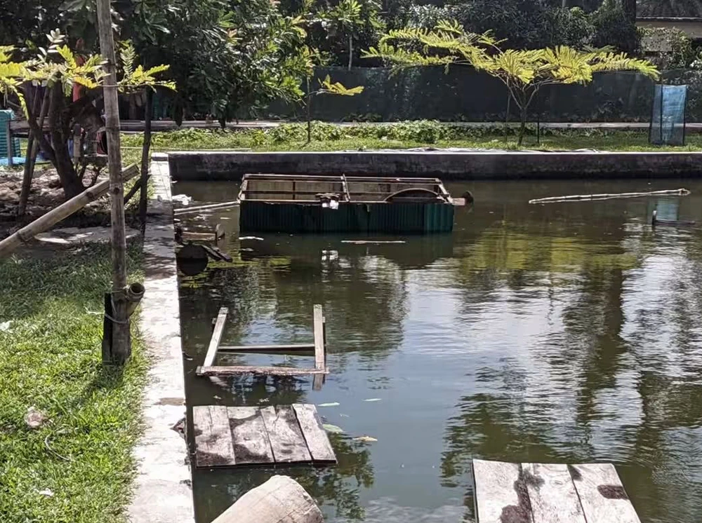 চিফ হুইপের হেলিকপ্টার অবতরণে ভাঙা হলো ১০ দোকান