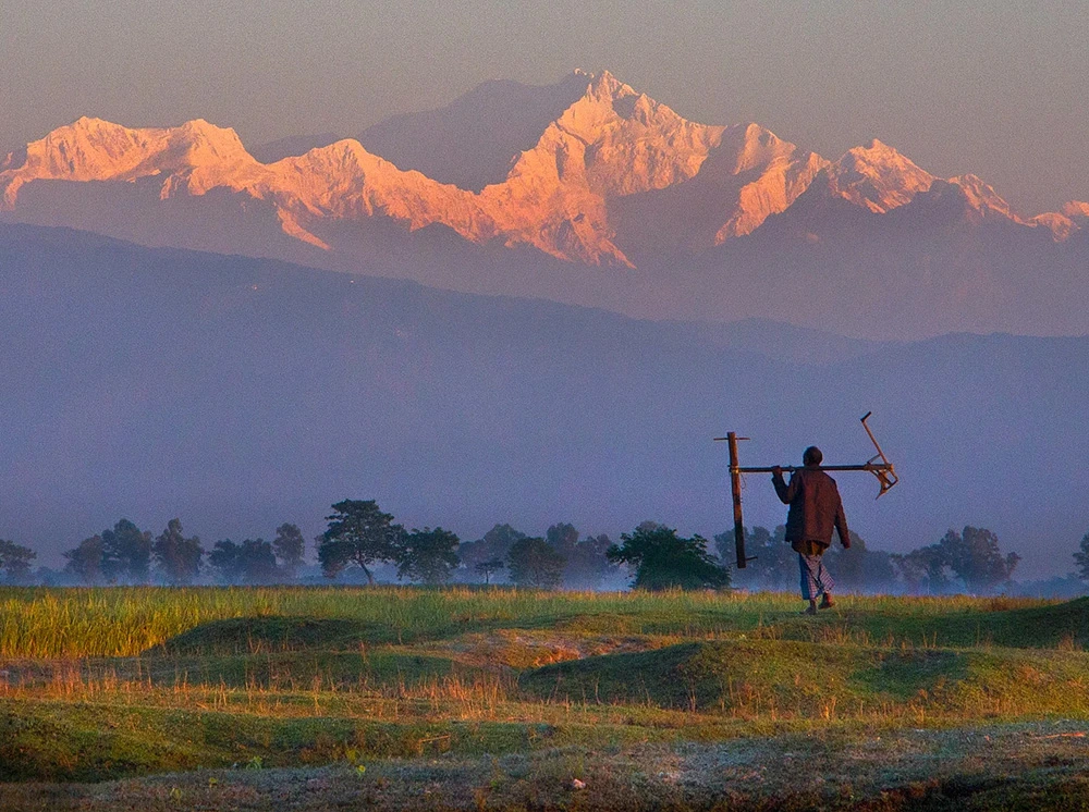 প্রকৃতিতে শীতের আগমনী বার্তা
