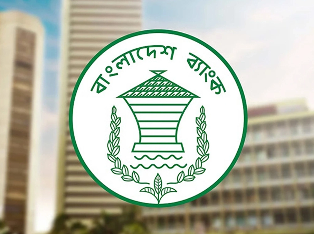 সাইবার নিরাপত্তা শঙ্কায় টানা দ্বিতীয় দিন বন্ধ বাংলাদেশ ব্যাংকের ওয়েবসাইট