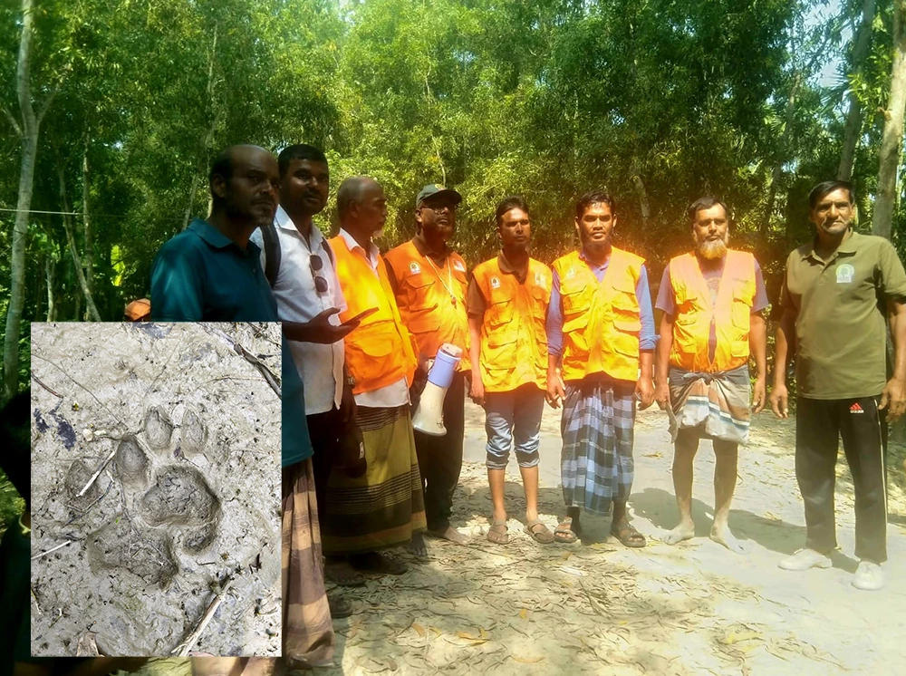 লোকালয়ে বাঘের পায়ের ছাপ, এলাকায় মাইকিং