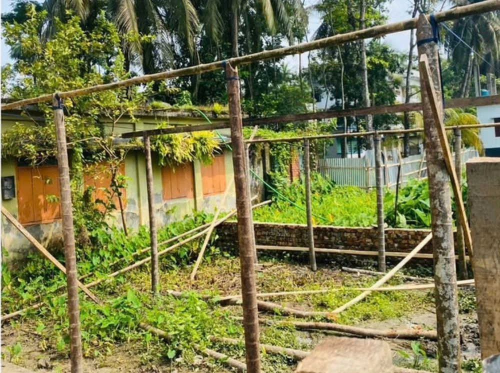 পিরোজপুরে প্রবাসীর কেনা জমি দখলচেষ্টার অভিযোগ