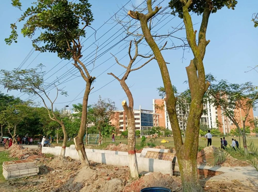 থামছেই না গাছ কাটা, প্রতিবাদ কেবলই ফেসবুকে
