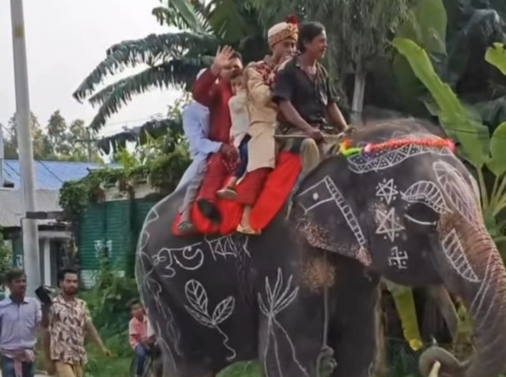 মা-বাবার শখ পূরণে হাতির পিঠে বরযাত্রা