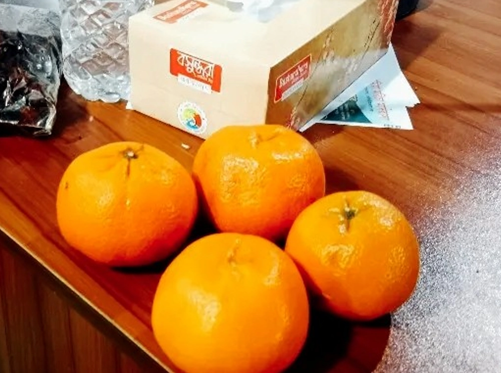 মাদ্রাসার চারটি কমলা বিক্রি হলো অর্ধলাখ টাকায়