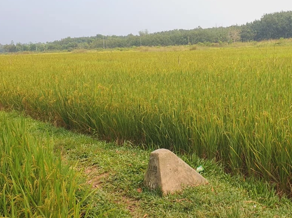 কুমিল্লা সীমান্তে মাদকের বিস্তার, আড়ালে মূল কারবারিরা