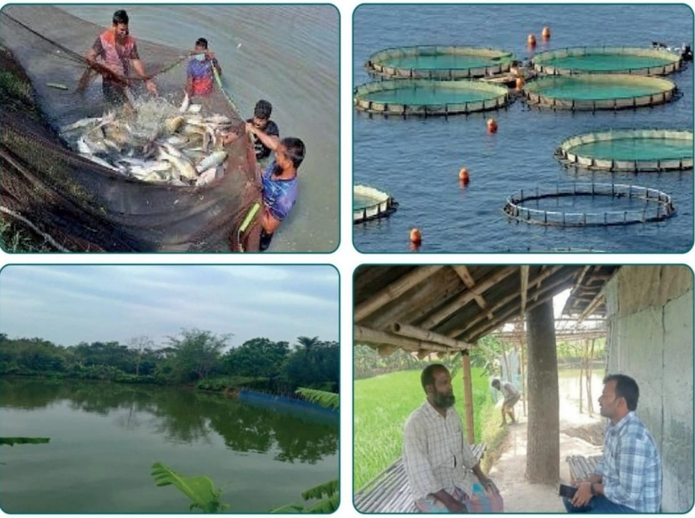 মৎস্য প্রকল্পে সাড়ে ৮ কোটি টাকার অনিয়ম