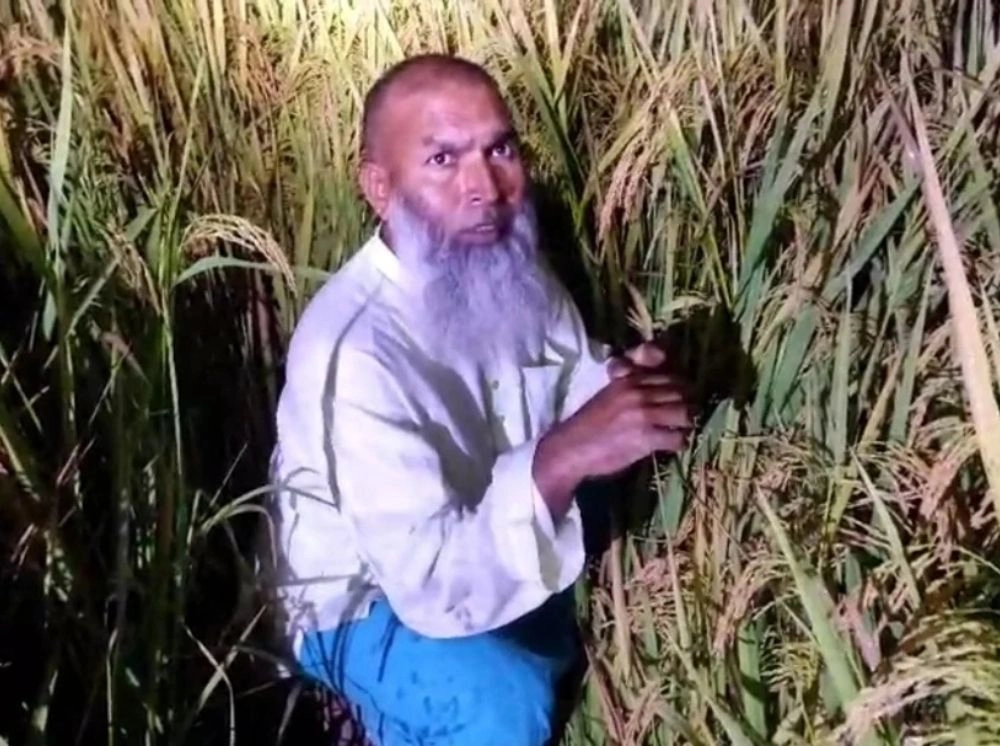 গ্রেফতার এড়াতে ধান ক্ষেতে লুকিয়েও শেষ রক্ষা হলো না আ.লীগ নেতার