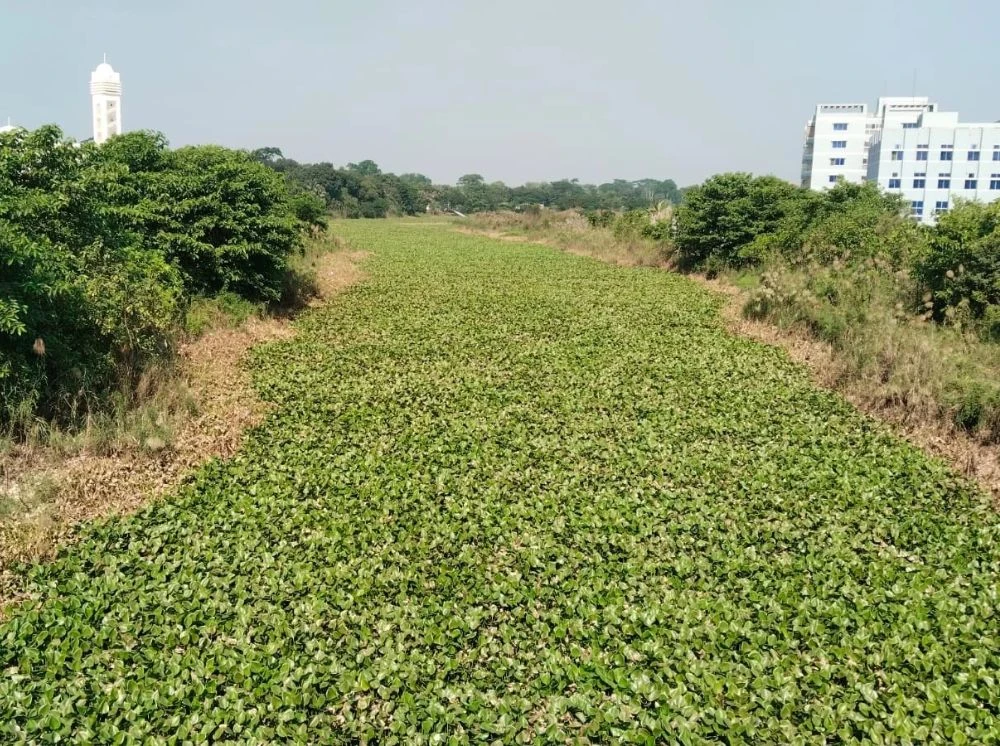 যে নদীপথে আসত পণ্য, সেই ময়নাকাটাই আজ অস্তিত্ব সংকটে